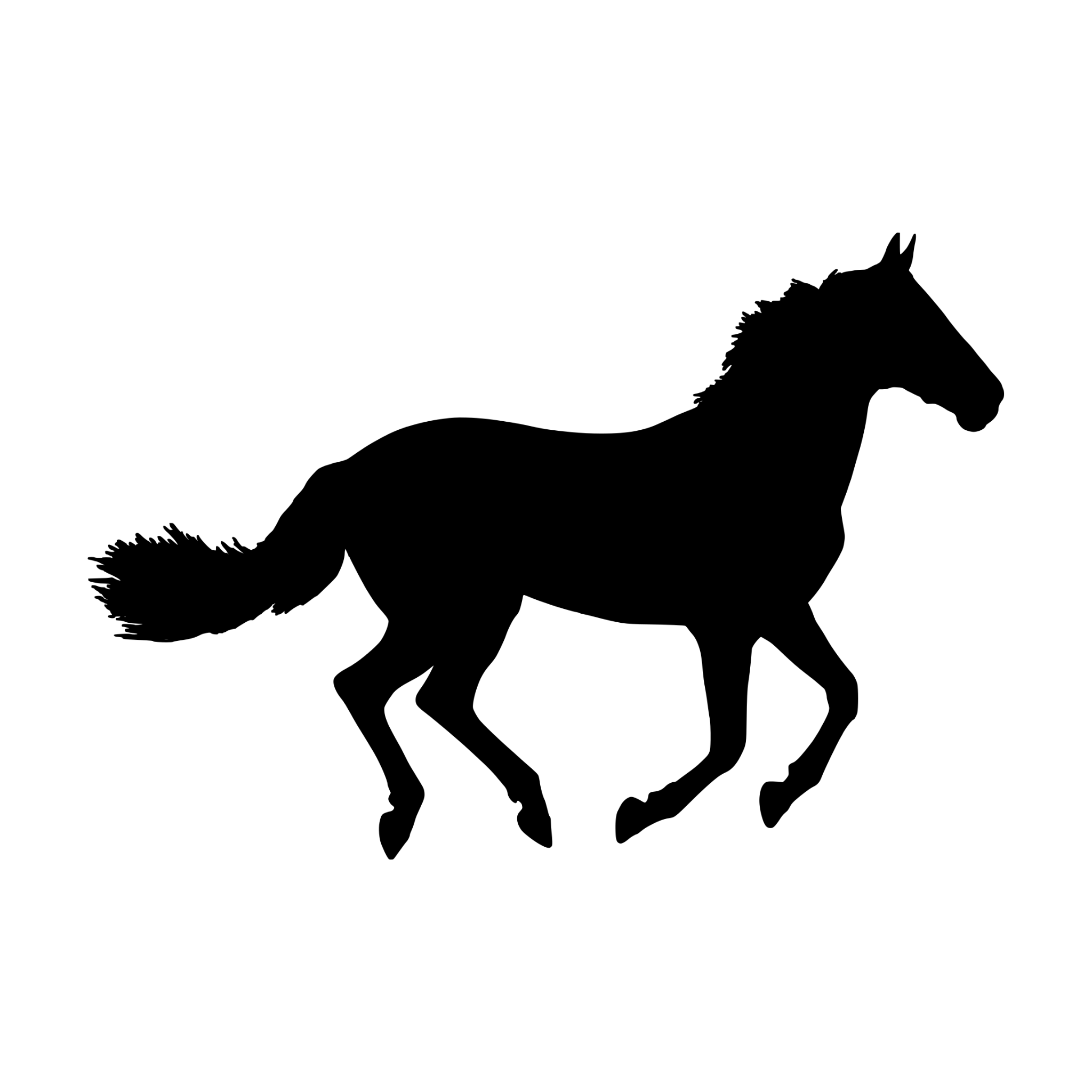 Horse Goulburn Hay Supplies