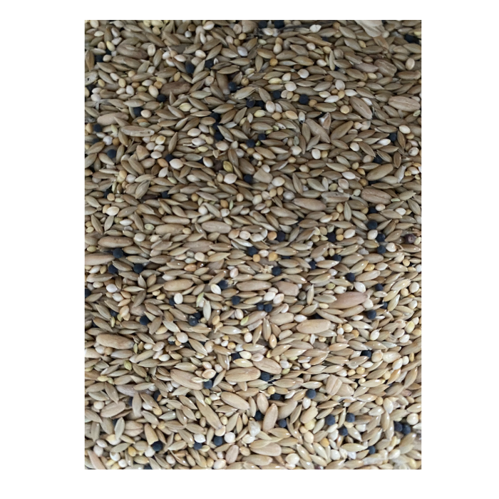 Canary Mix 20kg