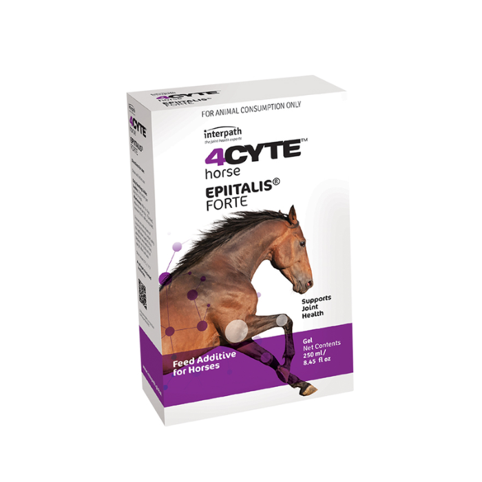 4Cyte Horse 250ml Gel