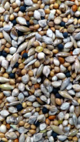 Finch Seed 20kg