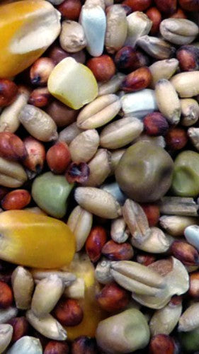 Pigeon Seed 20kg