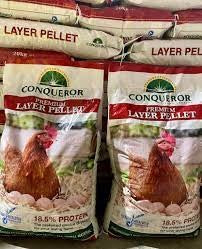 Conqueror Layer 20kg