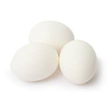 Plastic Dummy Poultry Eggs