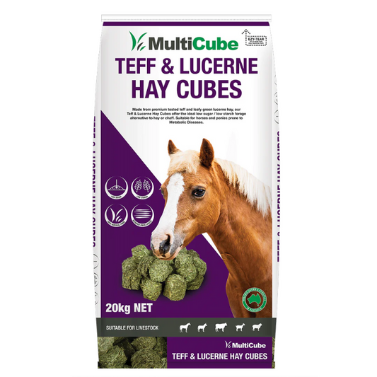 Multicube Lucerne Teff Cubes 20kg