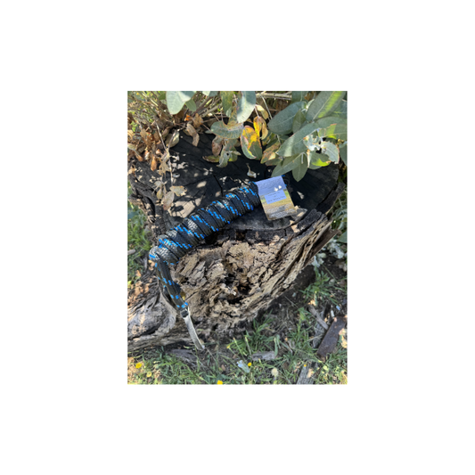 10FT Lead Black & Blue