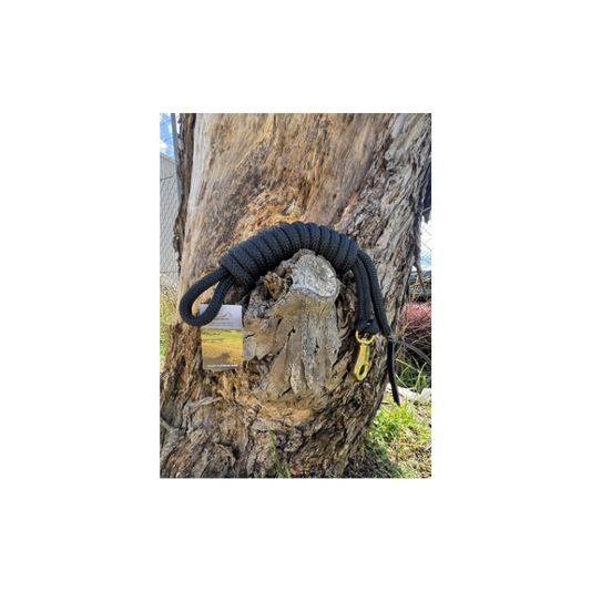 10FT Lead Black 