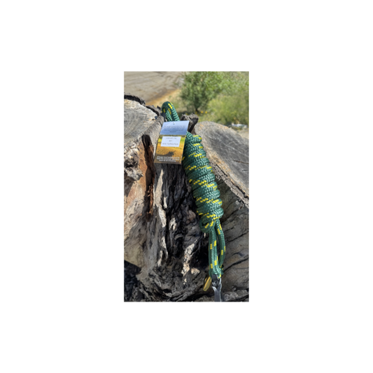 8FT Lead Green & Yellow