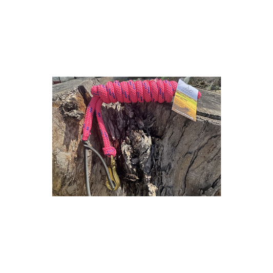 8FT Lead Pink & Purple