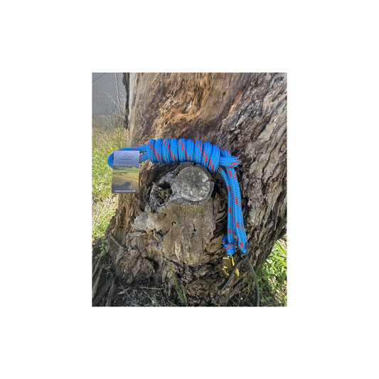 8FT Lead Blue & Red