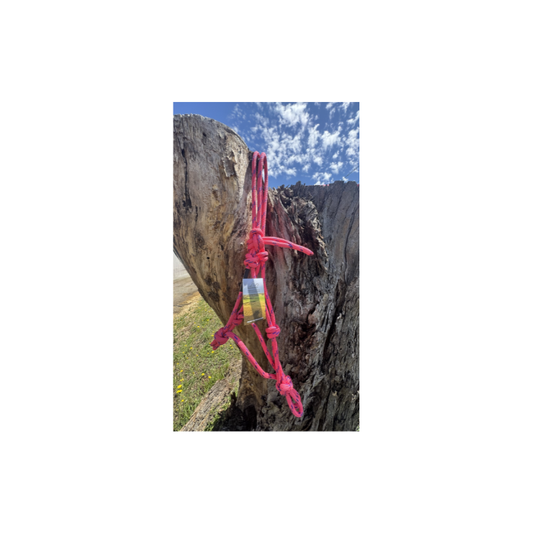 Rope Halter Pony Pink & Purple 