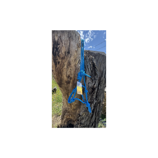 Rope Halter Pony Blue 