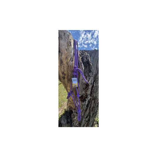 Rope Halter Cob Purple
