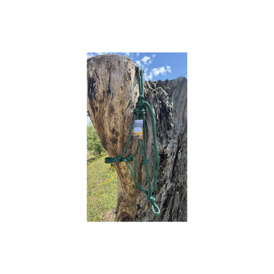 Rope Halter Full Green