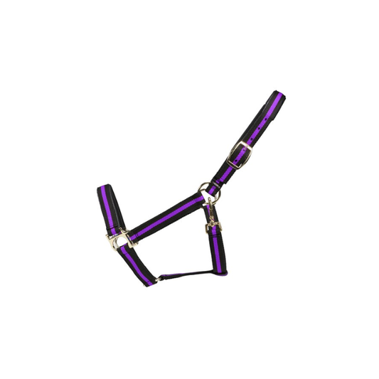 Deluxe Halter COB blk/purple